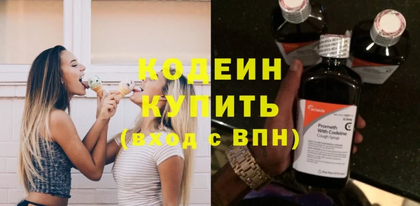 apvp Вяземский