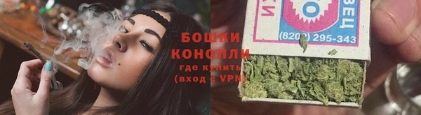 apvp Вяземский