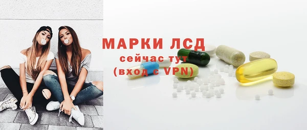 apvp Вяземский