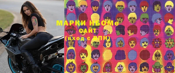 apvp Вяземский