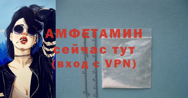apvp Вяземский
