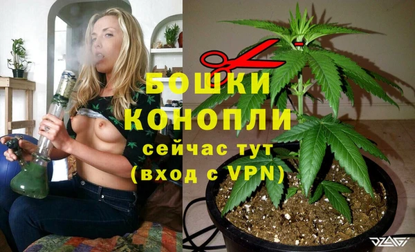 дживик Вязники
